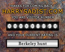 Visitor rating: 03