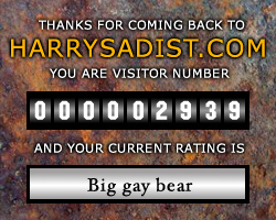 Visitor rating: 08